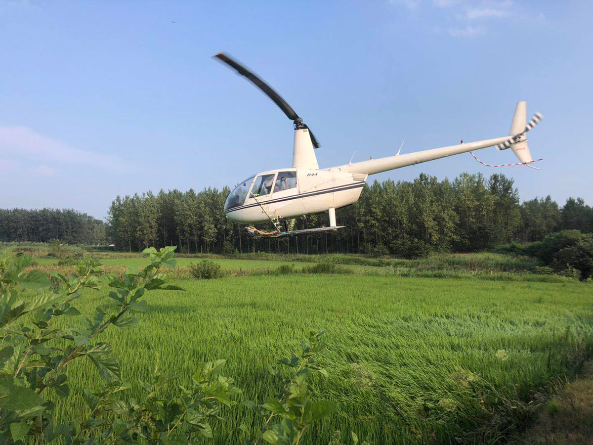 內(nèi)蒙古天羽通用航空有限公司飛機(jī)防治小麥